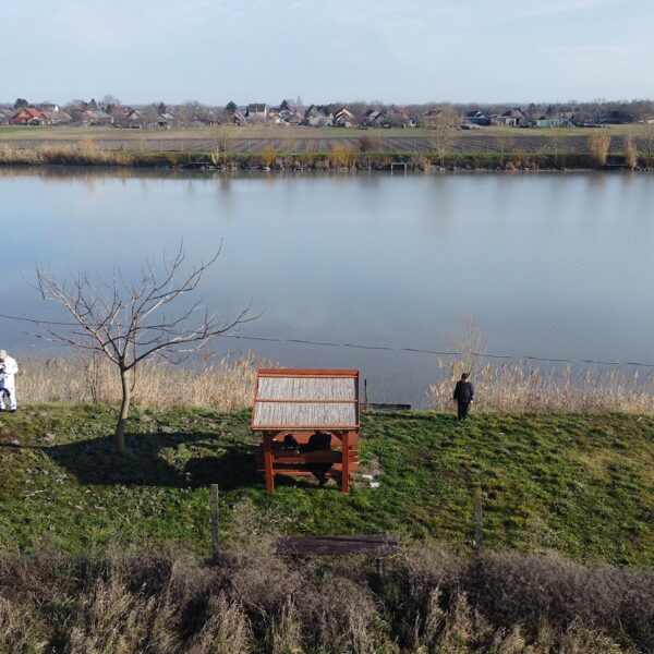 7.parcella